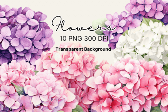 Download Watercolor Hydrangea Flowers Clipart - Flower Collection